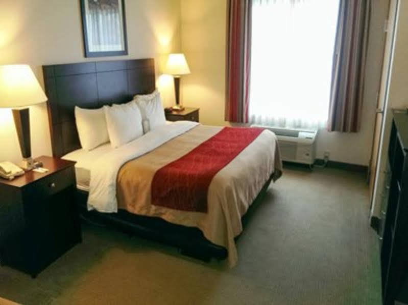 Comfort Inn & Suites Creswell Εξωτερικό φωτογραφία